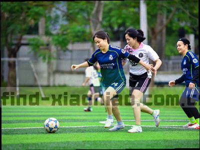 树叶纹理与电路板线条融合的图形，代表自然与科技共生